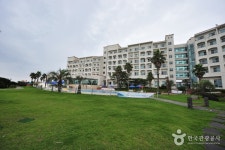 동해미락 - 주변 여행 및 근처 관광 명소 - 국내 여행 정보와 관광 명소 정보