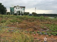 우리두리펜션 숙박 정보와 주변 관광 명소 및 근처 맛집 여행 정보