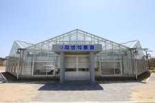 Cheonsaseom Bonsai Park (천사섬 분재공원) - Sightseeing - Korea travel and tourism information