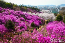 성주산생활체육공원 - 주변 여행 및 근처 관광 명소 - 국내 여행 정보와 관광 명소 정보