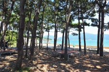 홍현마을 - 주변 여행 및 근처 관광 명소 - 국내 여행 정보와 관광 명소 정보