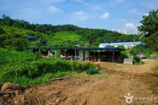 계수밤농장 관광 정보와 주변 관광 명소 및 근처 맛집 여행 정보