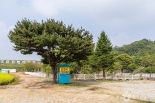 열린캠핑장 레저스포츠 정보와 주변 관광 명소 및 근처 맛집 여행 정보