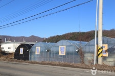 엘림랜드 관광 정보와 주변 관광 명소 및 근처 맛집 여행 정보