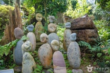 구덕문화공원 관광 정보와 주변 관광 명소 및 근처 맛집 여행 정보