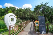 거창파인밸리리조트 비계산가든 - 주변 여행 및 근처 관광 명소 - 국내 여행 정보와 관광 명소 정보