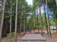 국립남해편백자연휴양림 관광 정보와 주변 관광 명소 및 근처 맛집 여행 정보