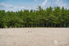 송전해수욕장 관광 정보와 주변 관광 명소 및 근처 맛집 여행 정보