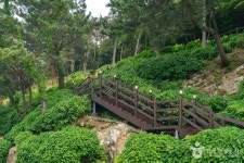 저구항 관광 정보와 주변 관광 명소 및 근처 맛집 여행 정보