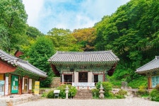 스테이 은신희 - 주변 여행 및 근처 관광 명소 - 국내 여행 정보와 관광 명소 정보