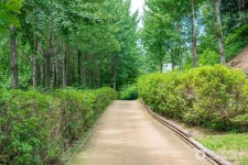 초록산산림욕장 관광 정보와 주변 관광 명소 및 근처 맛집 여행 정보