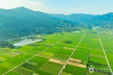 평사리들판 관광 정보와 주변 관광 명소 및 근처 맛집 여행 정보