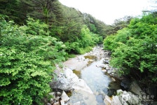 Gariwangsan National Recreational Forest (국립 가리왕산자연휴양림) - Sightseeing - Korea travel and tourism information