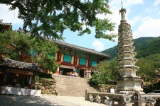 통합검색결과 | 대한민국 구석구석