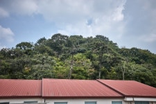 성가리 백로마을 관광 정보와 주변 관광 명소 및 근처 맛집 여행 정보