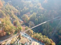 曽坪 座亀山クルムタリ＆座亀山の森 瞑想の家（증평 좌구산 구름다리 & 좌구산 숲 명상의 집） - 観光 - 韓国旅行・観光情報