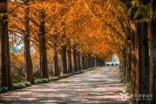  기차   KTX 1박 마이산 남원 광한루 춘향테마파크 담양명소 : 인터파크투어 