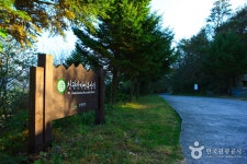 Cheongwansan National Recreational Forest (국립 천관산자연휴양림) - Sightseeing - Korea travel and tourism information