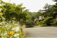 봄여름가을겨울 숙박 정보와 주변 관광 명소 및 근처 맛집 여행 정보