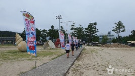 백도해변 관광 정보와 주변 관광 명소 및 근처 맛집 여행 정보