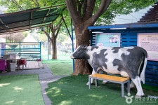 고양낙농치즈테마체험장 관광 정보와 주변 관광 명소 및 근처 맛집 여행 정보