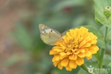 용인시민농장 관광 정보와 주변 관광 명소 및 근처 맛집 여행 정보