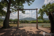 외암민속마을 관광 정보와 주변 관광 명소 및 근처 맛집 여행 정보