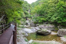 절골협곡 (청송 국가지질공원) 관광 정보와 주변 관광 명소 및 근처 맛집 여행 정보