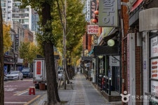 국제음식문화거리(INTERNATIONAL FOOD STREET) 관광 정보와 주변 관광 명소 및 근처 맛집 여행 정보