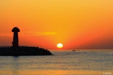 물치항활어회센터 쇼핑 정보와 주변 관광 명소 및 근처 맛집 여행 정보