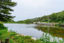 북구 편백산림욕장 관광 정보와 주변 관광 명소 및 근처 맛집 여행 정보
