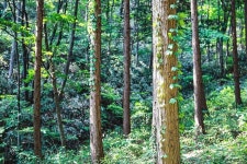 진안 웅치골마을 - 주변 여행 및 근처 관광 명소 - 국내 여행 정보와 관광 명소 정보