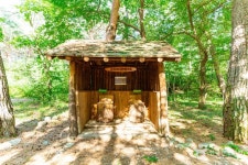 금강소나무생태경영림 관광 정보와 주변 관광 명소 및 근처 맛집 여행 정보