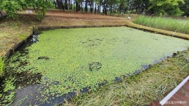 순포습지 관광 정보와 주변 관광 명소 및 근처 맛집 여행 정보