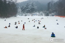 Hanwha Resort - Yangpyeong Sledding Park (양평한화리조트 눈썰매장) - Leisure - Korea travel and tourism information