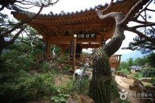 산, 오도재와 지리산조망공원 - 캠프위크