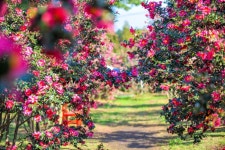 마량 방파제 - 주변 여행 및 근처 관광 명소 - 국내 여행 정보와 관광 명소 정보