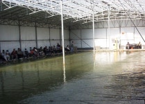 두밀촌낚시터 - 주변 여행 및 근처 관광 명소 - 국내 여행 정보와 관광 명소 정보