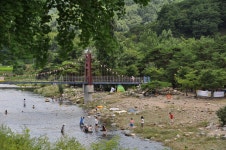 송정숲 관광 정보와 주변 관광 명소 및 근처 맛집 여행 정보