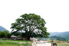 운리마을 - 주변 여행 및 근처 관광 명소 - 국내 여행 정보와 관광 명소 정보