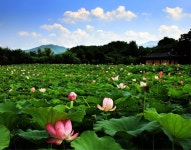 상림공원 관광 정보와 주변 관광 명소 및 근처 맛집 여행 정보