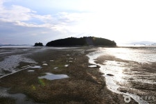 여수 갯벌 노을마을 관광 정보와 주변 관광 명소 및 근처 맛집 여행 정보