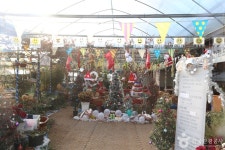 엘림랜드 관광 정보와 주변 관광 명소 및 근처 맛집 여행 정보