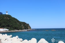 바다마을횟집 - 주변 여행 및 근처 관광 명소 - 국내 여행 정보와 관광 명소 정보