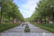 진미반점 - 주변 여행 및 근처 관광 명소 - 국내 여행 정보와 관광 명소 정보