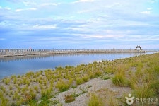 월천해수욕장 관광 정보와 주변 관광 명소 및 근처 맛집 여행 정보