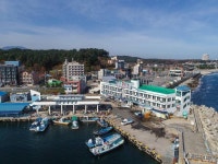 낙산해안로 - 주변 여행 및 근처 관광 명소 - 국내 여행 정보와 관광 명소 정보