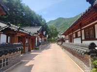 삼척활기자연휴양림 관광 정보와 주변 관광 명소 및 근처 맛집 여행 정보