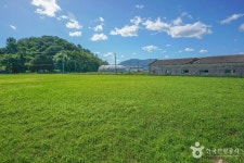 김해 예안리 고분군 관광 정보와 주변 관광 명소 및 근처 맛집 여행 정보