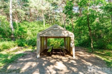 금강소나무생태경영림 관광 정보와 주변 관광 명소 및 근처 맛집 여행 정보